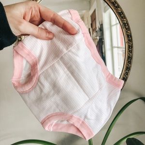 12 organic striped training pants / underwear